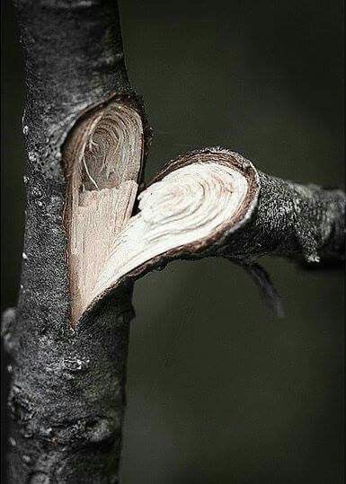 EY AŞK, GELDİNSE SESİN&nbsp;ÇIKMASIN